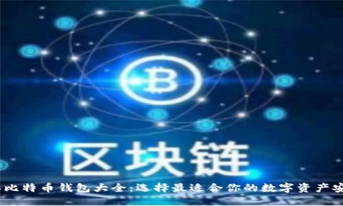 2015年比特币钱包大全：选择最适合你的数字资产安全护航