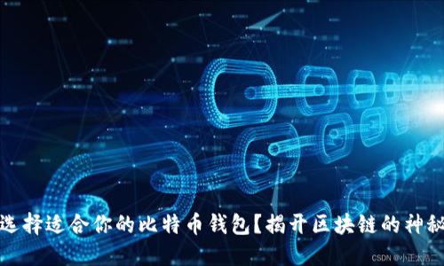 如何选择适合你的比特币钱包？揭开区块链的神秘面纱