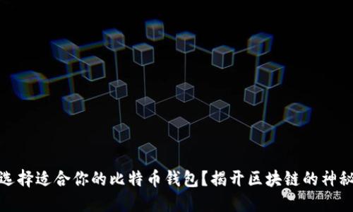 如何选择适合你的比特币钱包？揭开区块链的神秘面纱
