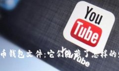 早期比特币钱包文件：它