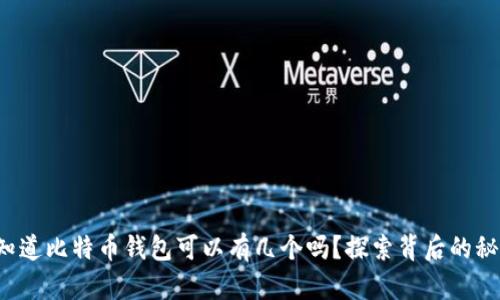 你知道比特币钱包可以有几个吗？探索背后的秘密！