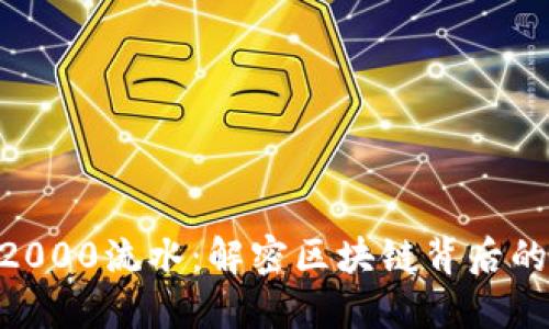 Tokenim2000流水：解密区块链背后的神秘世界