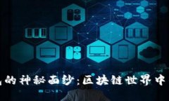 揭开袋熊钱包的神秘面纱