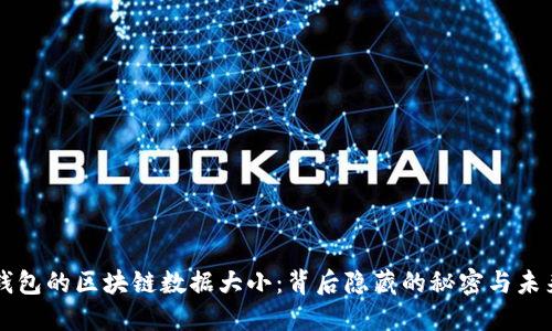 比特币钱包的区块链数据大小：背后隐藏的秘密与未来的可能