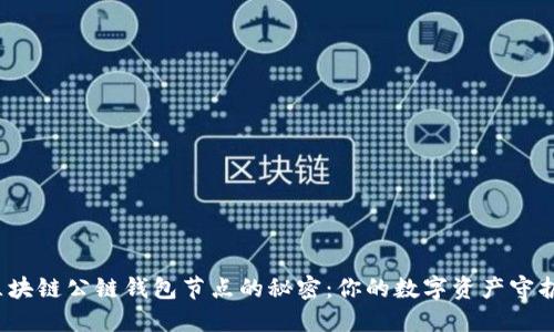 探索区块链公链钱包节点的秘密：你的数字资产守护者吗？