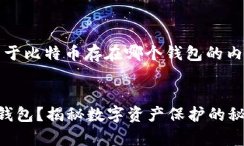 当然可以，下面是关于比特币存在哪个钱包的内容构架和相关信息。


比特币存放在哪些钱包？揭秘数字资产保护的秘密！