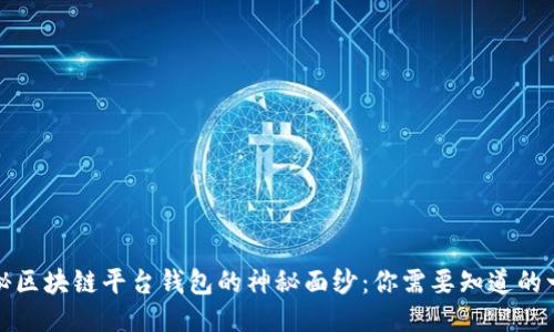 揭秘区块链平台钱包的神秘面纱：你需要知道的一切