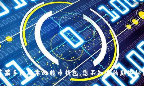 苹果手机版本比特币钱包，您不知道的那些秘密