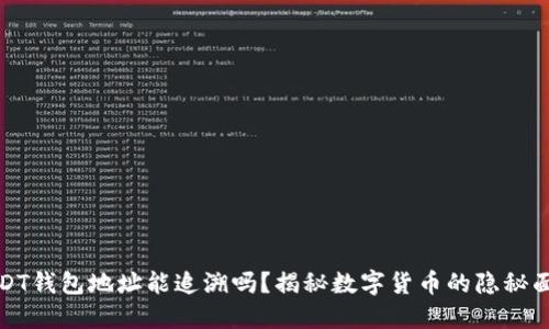 USDT钱包地址能追溯吗？揭秘数字货币的隐秘面纱