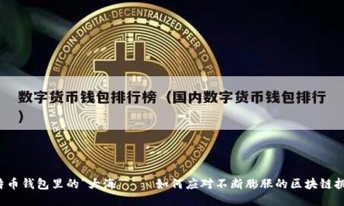 比特币钱包里的“大海”——如何应对不断膨胀的区块链挑战？