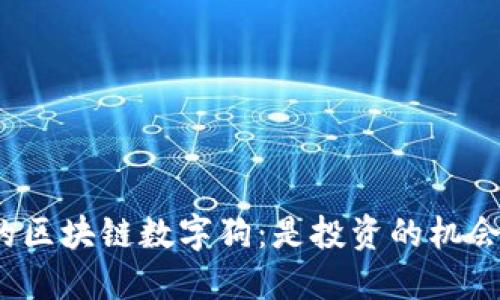揭秘百度钱包中的区块链数字狗：是投资的机会还是风险的游戏？