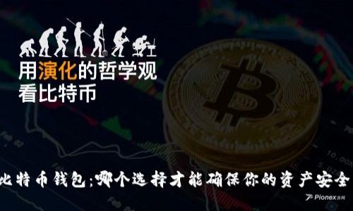 比特币钱包：哪个选择才能确保你的资产安全？