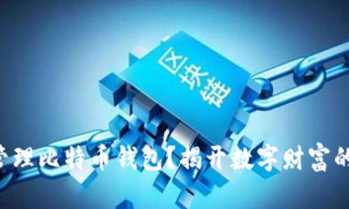 怎样高效管理比特币钱包？揭开数字财富的神秘面纱！