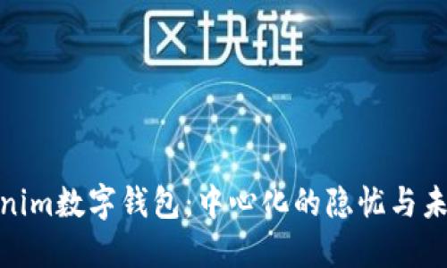 探秘Tokenim数字钱包：中心化的隐忧与未来的机遇