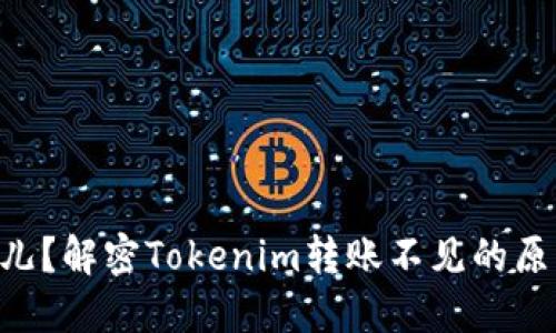 你的ETH在哪儿？解密Tokenim转账不见的原因与解决方法