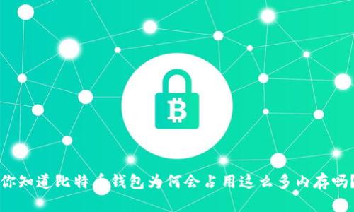 你知道比特币钱包为何会占用这么多内存吗？