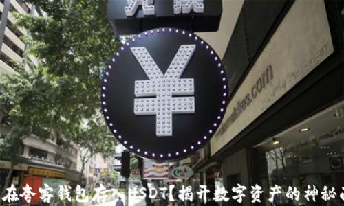 
怎样在夸客钱包存入USDT？揭开数字资产的神秘面纱！
