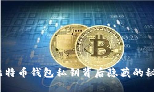 你知道吗？比特币钱包私钥背后隐藏的秘密值得探讨