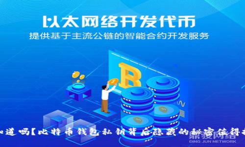 你知道吗?比特币钱包私钥背后隐藏的秘密值得探讨