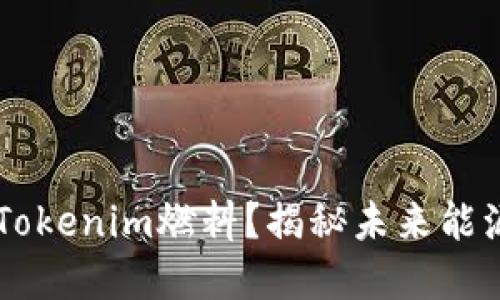 究竟什么是Tokenim燃料？揭秘未来能源的十字路口