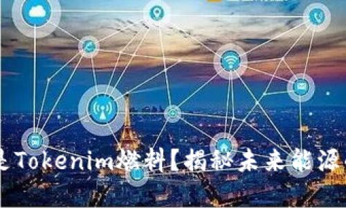 究竟什么是Tokenim燃料？揭秘未来能源的十字路口