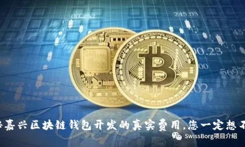 揭秘嘉兴区块链钱包开发的真实费用，您一定想不到！