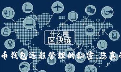 揭秘比特币钱包远程管理的秘密：您真的了解吗？