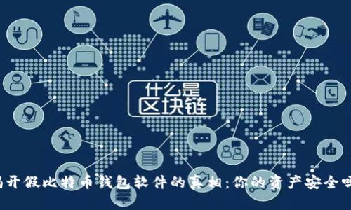 揭开假比特币钱包软件的真相：你的资产安全吗？