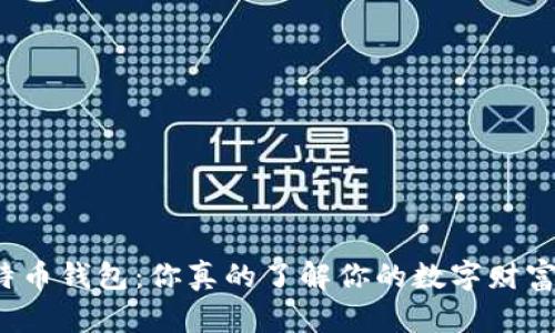 比特币钱包：你真的了解你的数字财富吗？