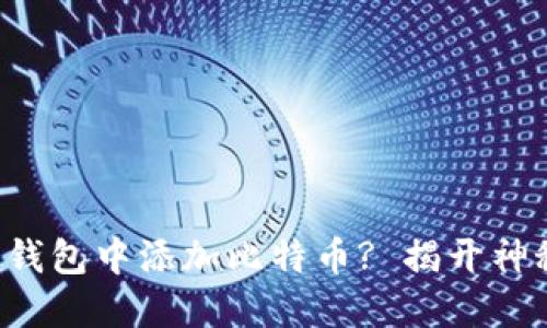 如何在小狐狸钱包中添加比特币? 揭开神秘面纱的步骤!