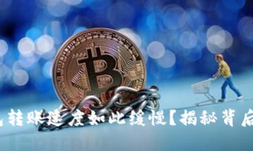 为什么Tokenim钱包转账速度如此缓慢？揭秘背后的原因与解决方案！