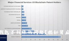 如何解决Tokenim钱包不到账