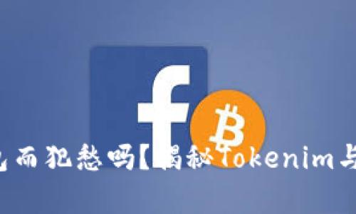 你还在为选择加密钱包而犯愁吗？揭秘Tokenim与比太钱包的真实对决！