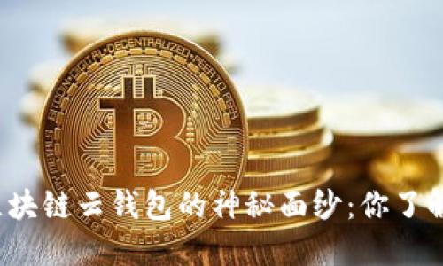 揭开区块链云钱包的神秘面纱：你了解哪些？
