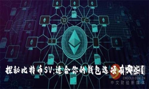 探秘比特币SV：适合你的钱包选项有哪些？