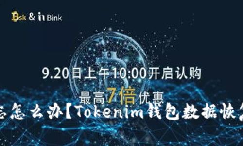助记词遗忘怎么办？Tokenim钱包数据恢复完全指南