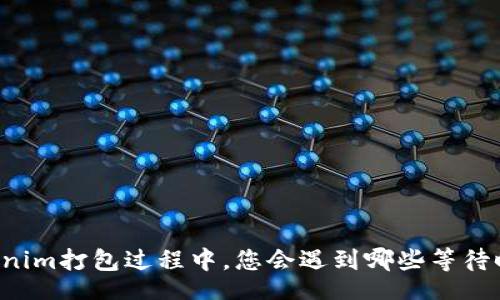 headers
    在Tokenim打包过程中，您会遇到哪些等待时间和挑战？