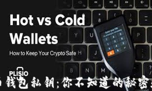 
揭秘比特币钱包私钥：你不知道的秘密和安全技巧