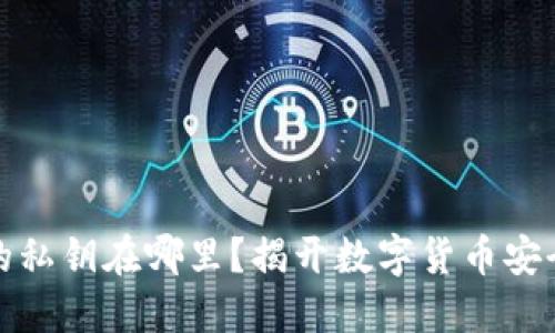 比特币钱包的私钥在哪里？揭开数字货币安全的神秘面纱