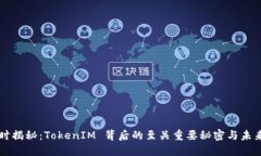 倒计时揭秘：TokenIM 背后的