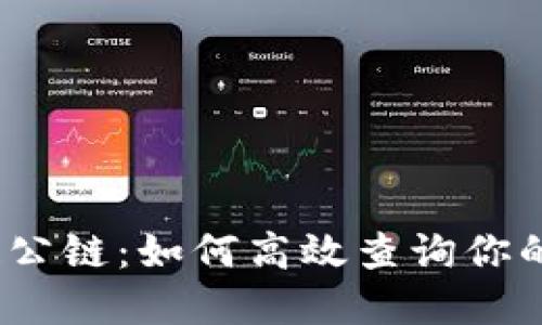 探索区块链公链：如何高效查询你的数字钱包？