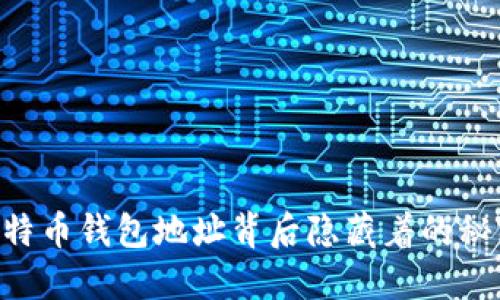你知道吗？一个比特币钱包地址背后隐藏着的秘密，让人无法想象！