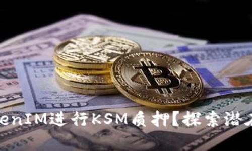 如何通过TokenIM进行KSM质押？探索潜在收益与风险