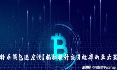比特币钱包速度慢？揭秘