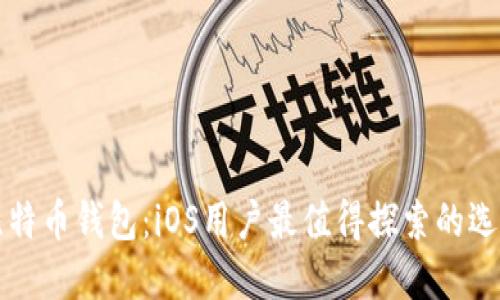 你不知道的比特币钱包：iOS用户最值得探索的选择和隐秘功能