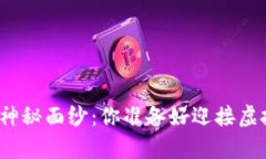 揭开比特币钱包的神秘面