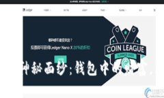 : 揭开虚拟币的神秘面纱：