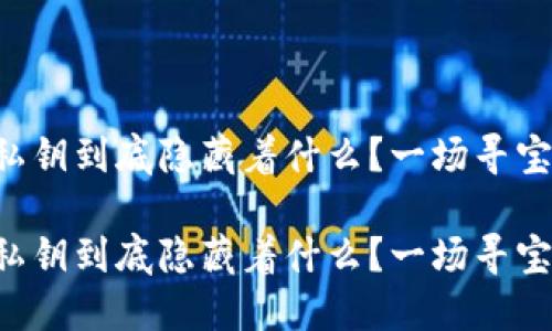 比特币钱包私钥到底隐藏着什么？一场寻宝之旅的开始！

比特币钱包私钥到底隐藏着什么？一场寻宝之旅的开始！