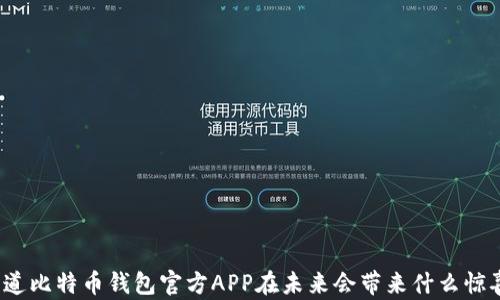 
你知道比特币钱包官方APP在未来会带来什么惊喜吗？