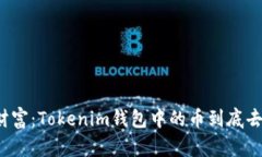 “曾经的财富：Tokenim钱包